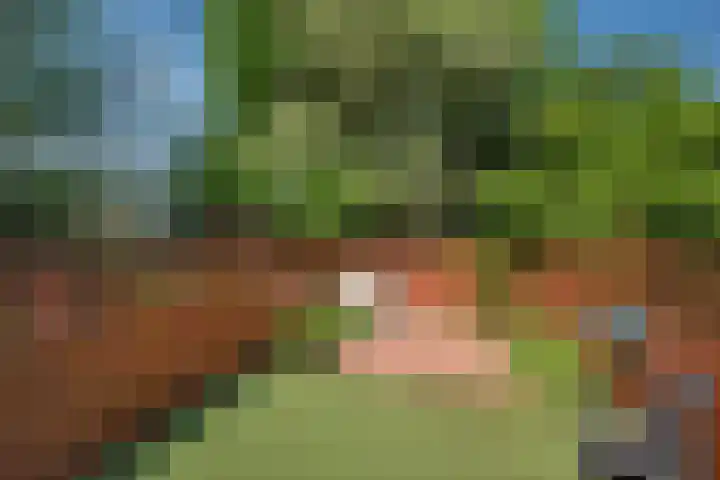 Eisensteinstrook 48 Zoetermeer thumbnail 12