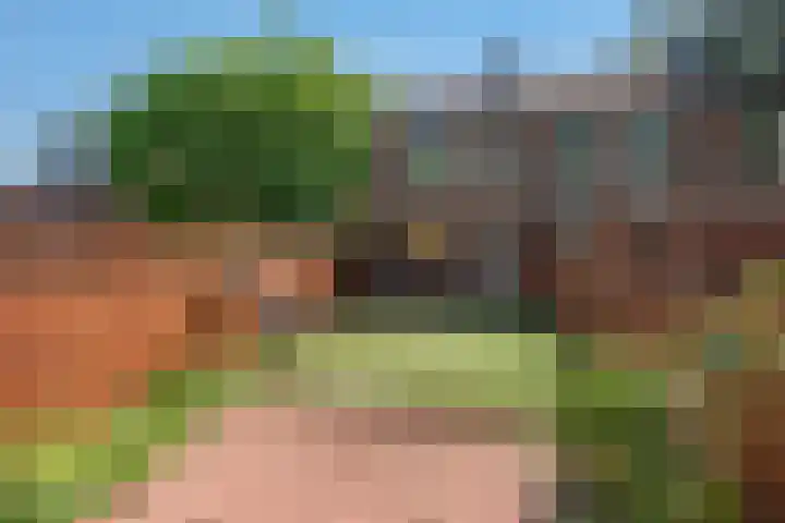 Eisensteinstrook 48 Zoetermeer thumbnail 13