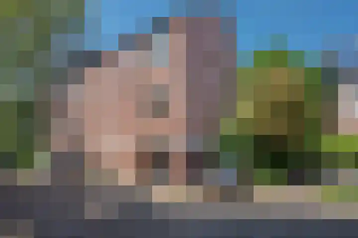 Eisensteinstrook 48 Zoetermeer thumbnail 32