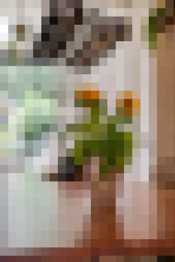 Eiswinkel 27 Eygelshoven thumbnail 15