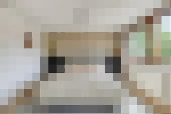 Eiswinkel 27 Eygelshoven thumbnail 21