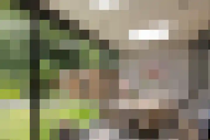 Eiswinkel 27 Eygelshoven thumbnail 33