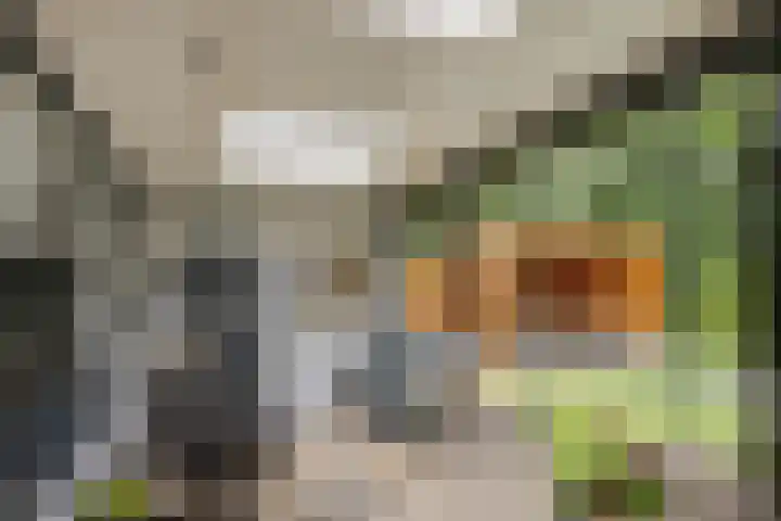Eiswinkel 27 Eygelshoven thumbnail 34