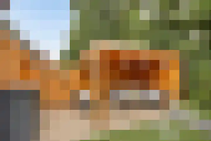 Eiswinkel 27 Eygelshoven thumbnail 35