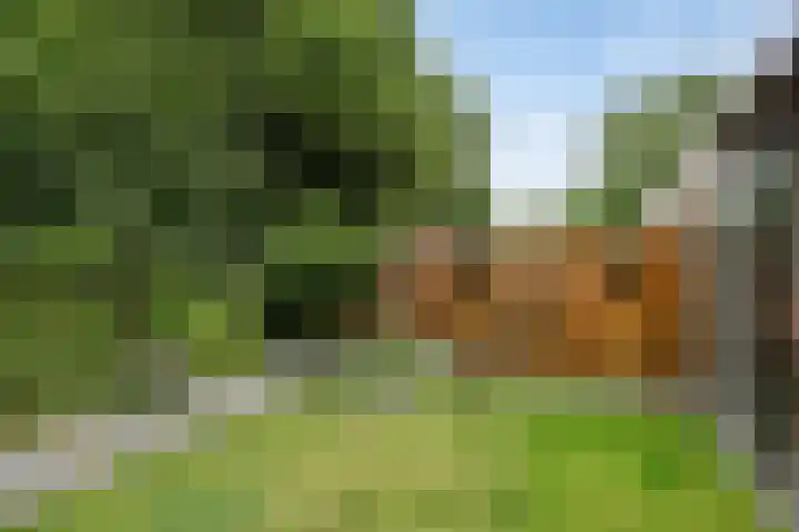 Eiswinkel 27 Eygelshoven thumbnail 36