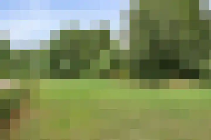 Eiswinkel 27 Eygelshoven thumbnail 38