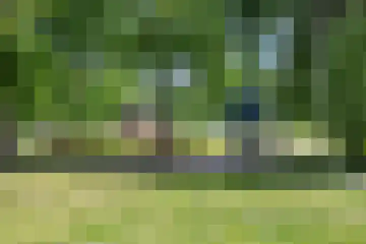 Eize Bosstraat 8 Drachten thumbnail 11