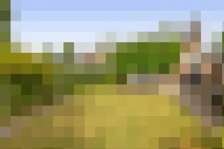 Eize Bosstraat 8 Drachten thumbnail 37
