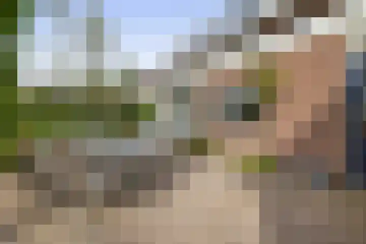 Eize Bosstraat 8 Drachten thumbnail 39