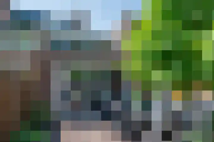 Eize Bosstraat 8 Drachten thumbnail 40