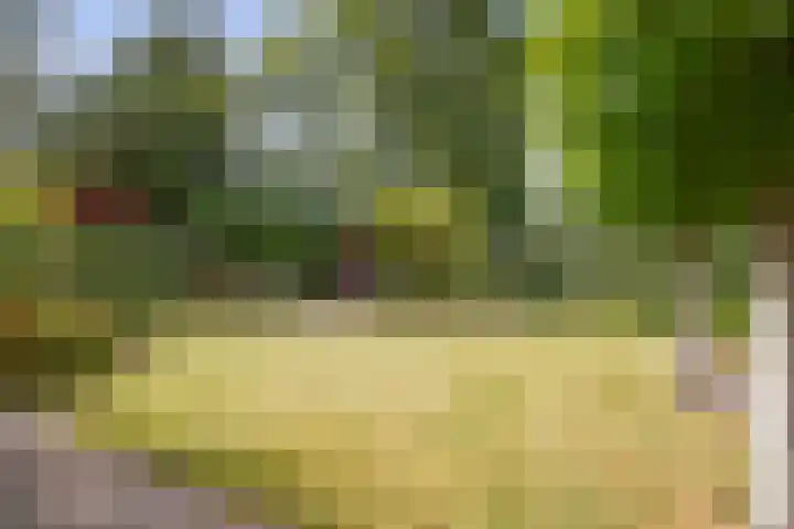 Eize Bosstraat 8 Drachten thumbnail 42