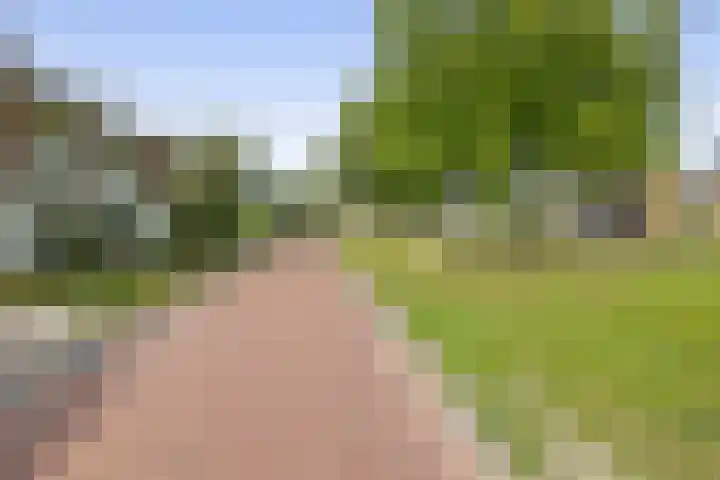 Eize Bosstraat 8 Drachten thumbnail 43