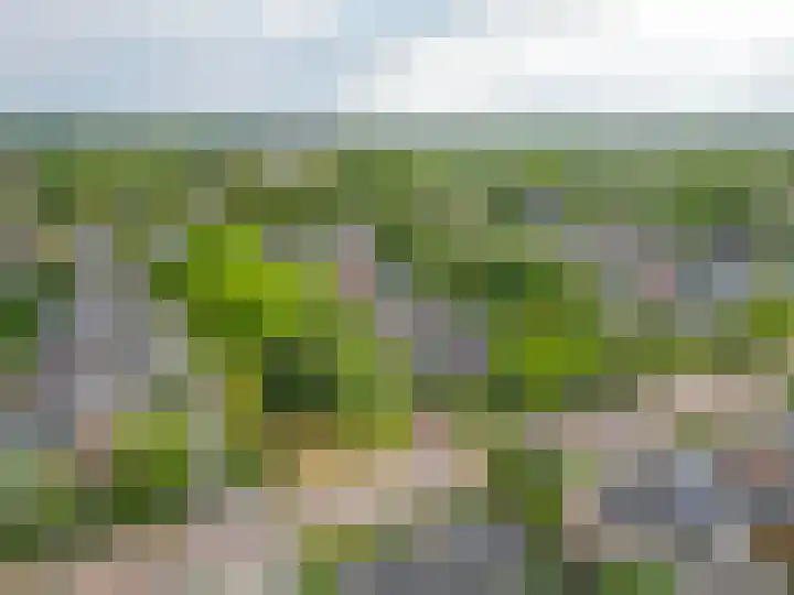 Eize Bosstraat 8 Drachten thumbnail 49