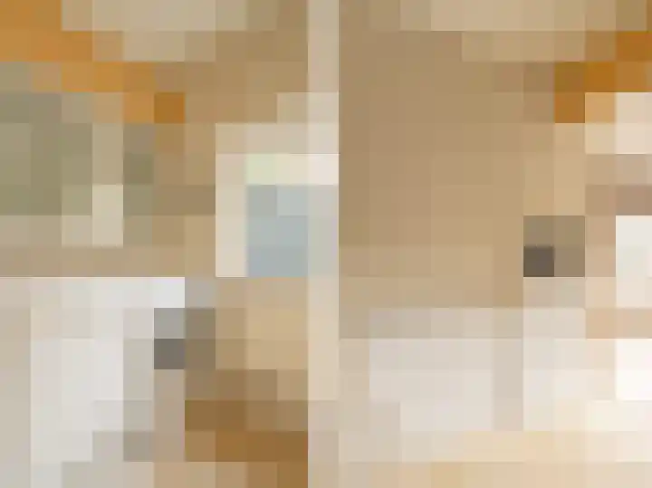 Ekelshoek 2 Blaricum thumbnail 13