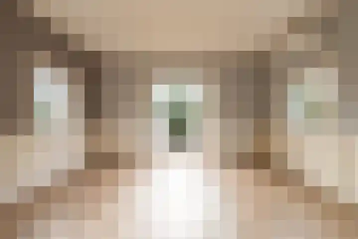 Ekelshoek 2 Blaricum thumbnail 15