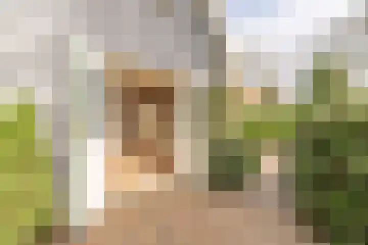 Ekelshoek 2 Blaricum thumbnail 22