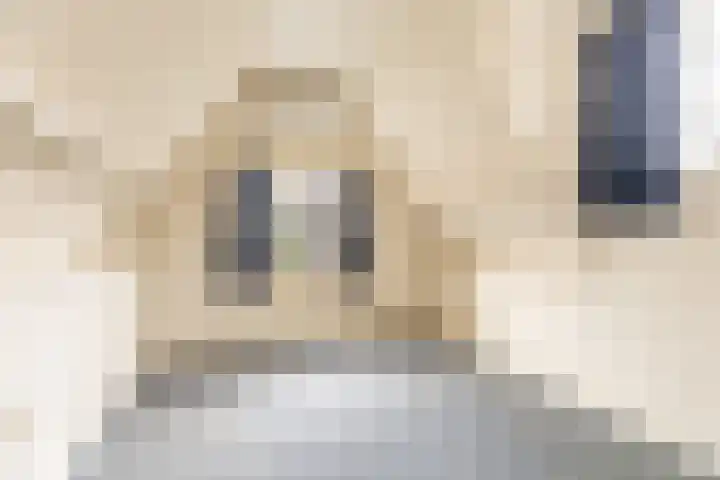 Ekelshoek 2 Blaricum thumbnail 29