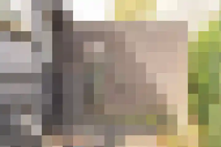 Ekelshoek 2 Blaricum thumbnail 31