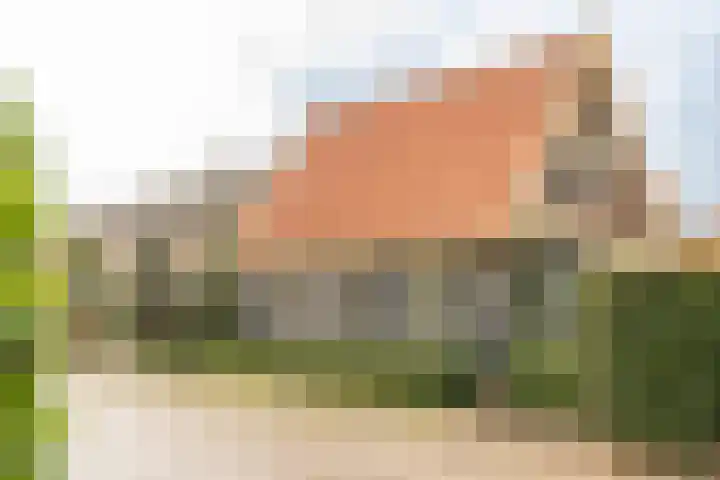 Ekelshoek 2 Blaricum thumbnail 32
