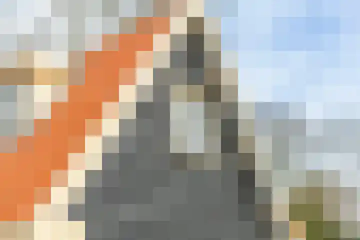 Ekelshoek 2 Blaricum thumbnail 33