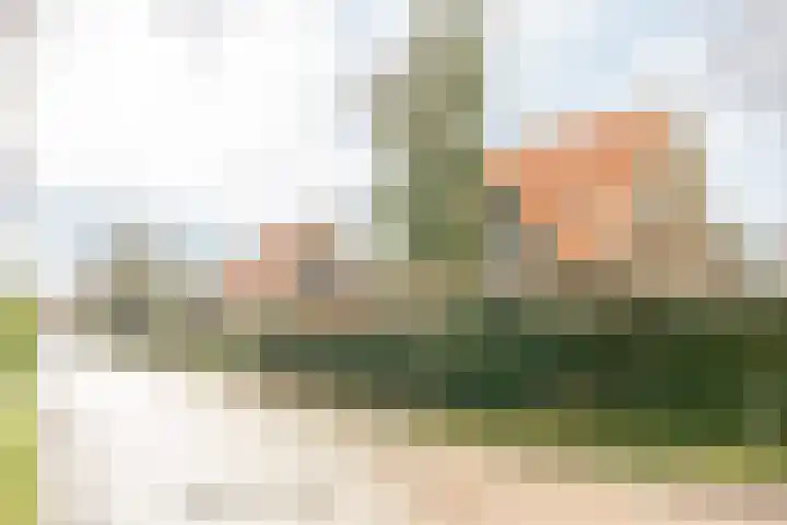 Ekelshoek 2 Blaricum thumbnail 37