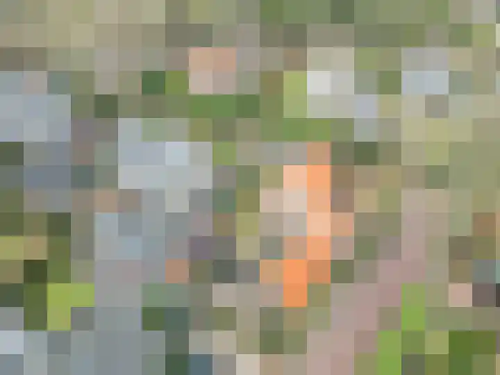 Ekelshoek 2 Blaricum thumbnail 39