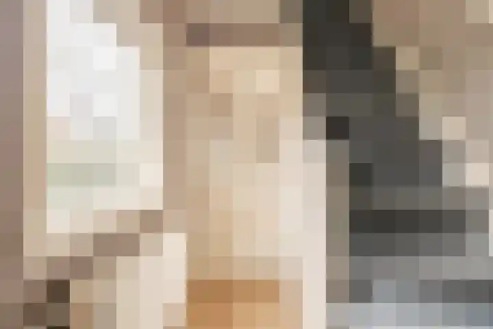 Ekelshoek 2 Blaricum thumbnail 9