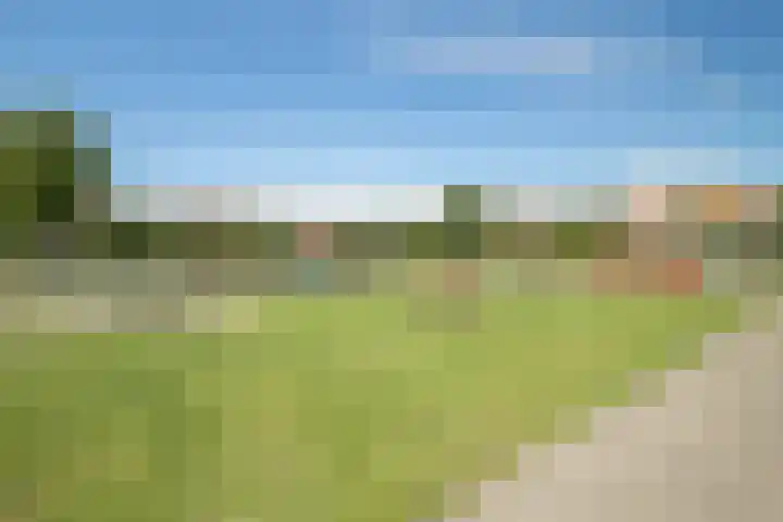 Ekenstein 75 Lelystad thumbnail 23
