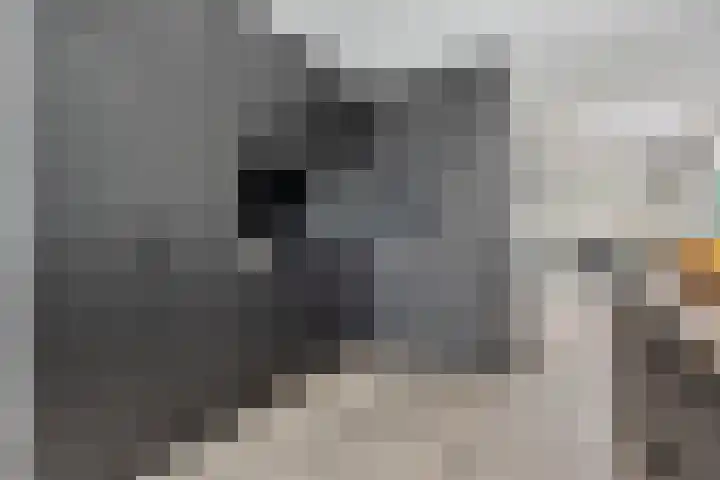 Ekersdijk 141 Enschede thumbnail 17