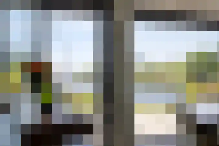 Ekingen 8 Kamperland thumbnail 14