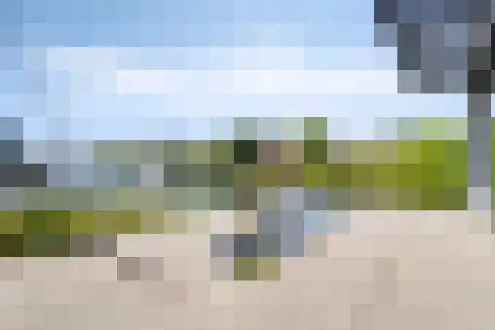 Ekingen 8 Kamperland thumbnail 37