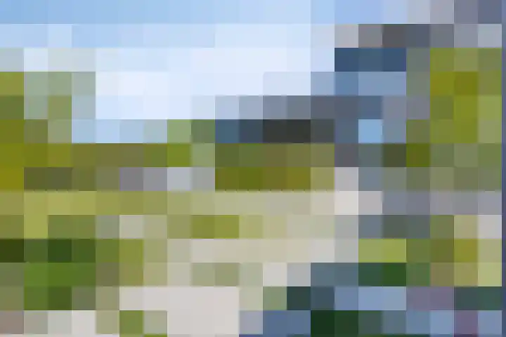 Ekingen 8 Kamperland thumbnail 41