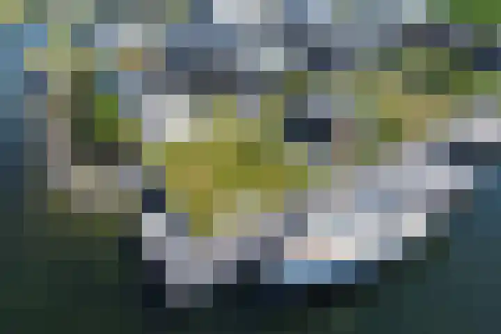 Ekingen 8 Kamperland thumbnail 43