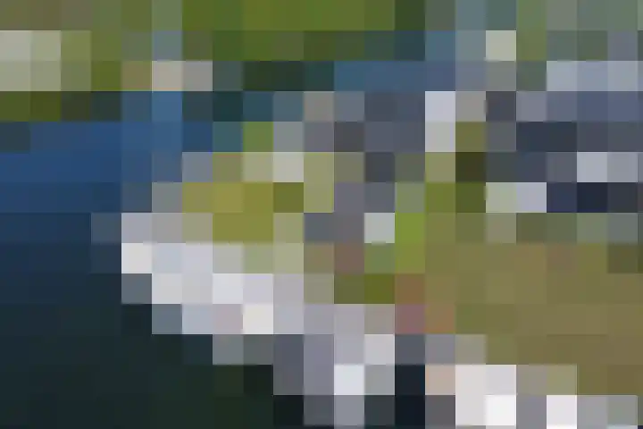Ekingen 8 Kamperland thumbnail 44