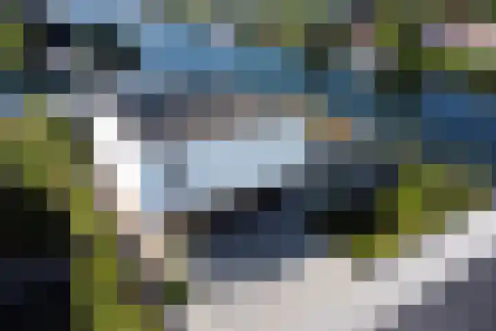 Ekingen 8 Kamperland thumbnail 46