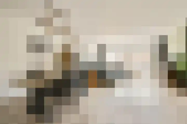 Ekingen 8 Kamperland thumbnail 5