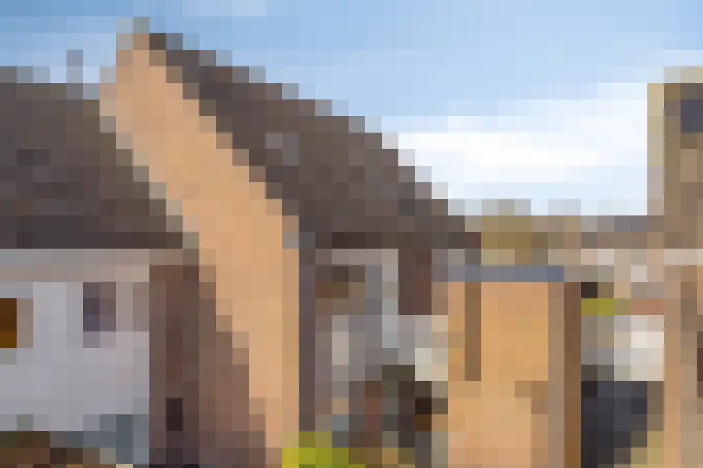 Ekkelwal 17 Assen thumbnail 6