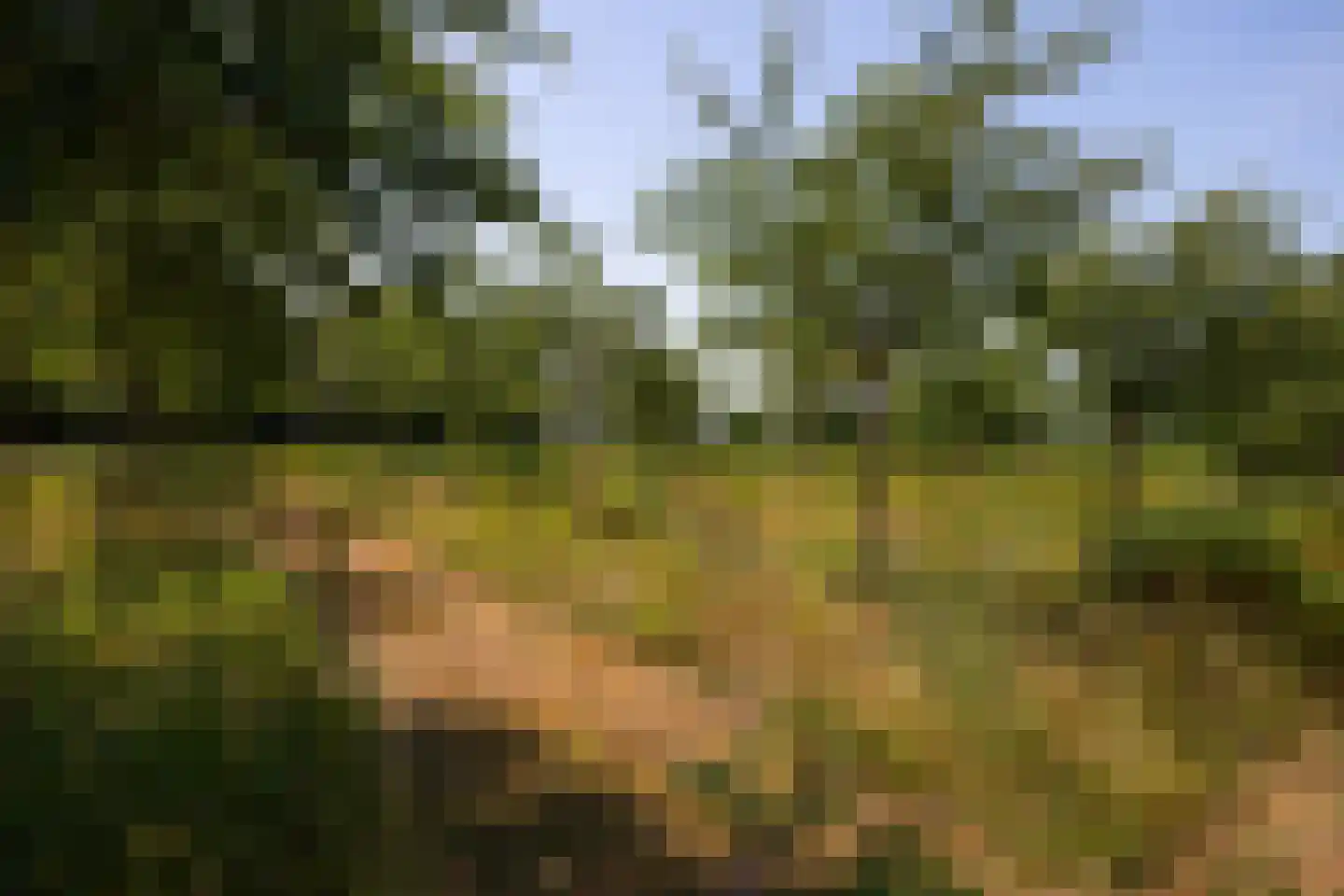 Ekris 72 b Woudenberg thumbnail 48