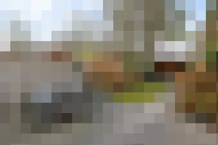 Ekselerbrink 40 Emmen thumbnail 33
