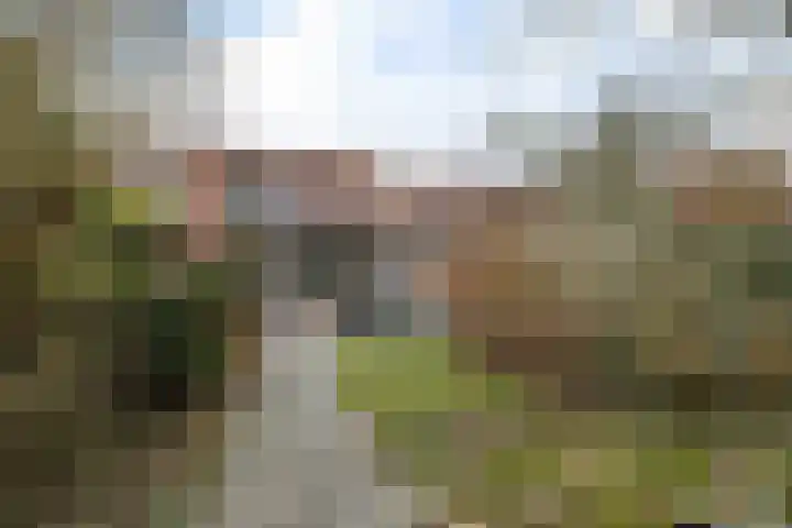 Ekselerbrink 40 Emmen thumbnail 37