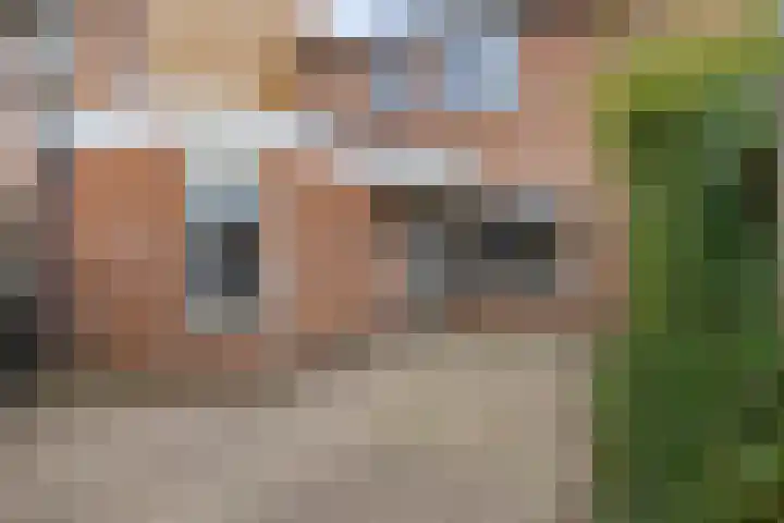 Ekselerbrink 40 Emmen thumbnail 43