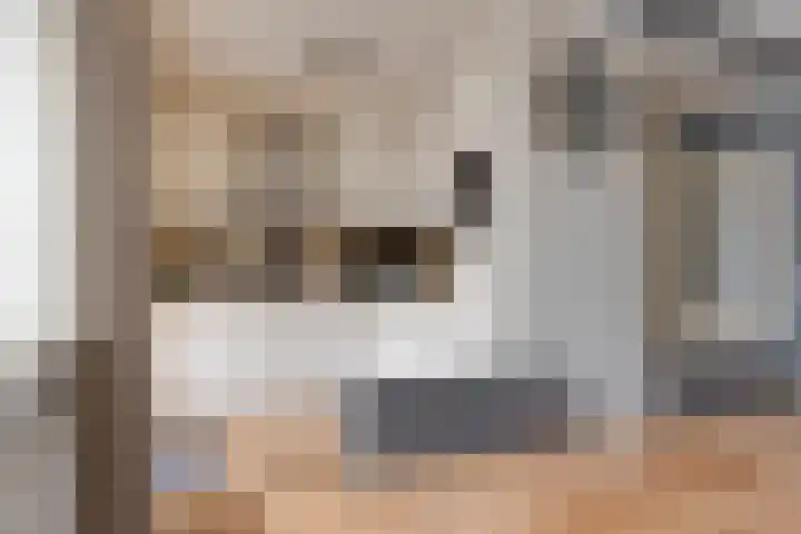 Ekster 25 Veldhoven thumbnail 13