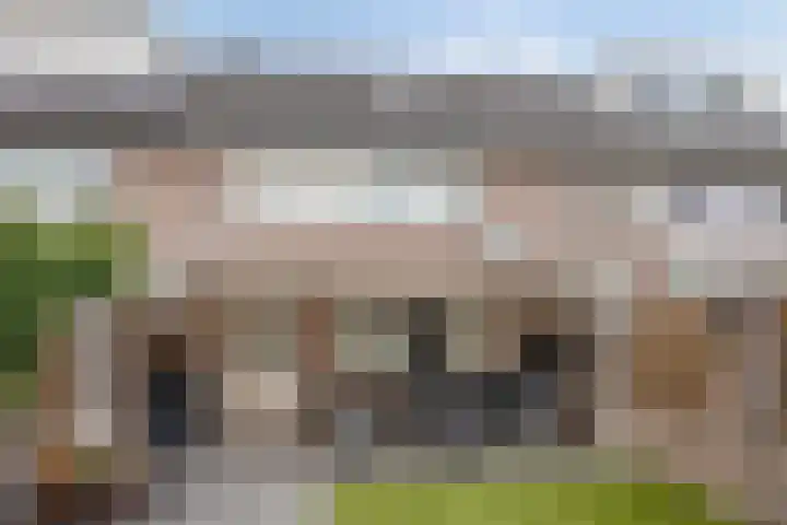 Ekster 25 Veldhoven thumbnail 30