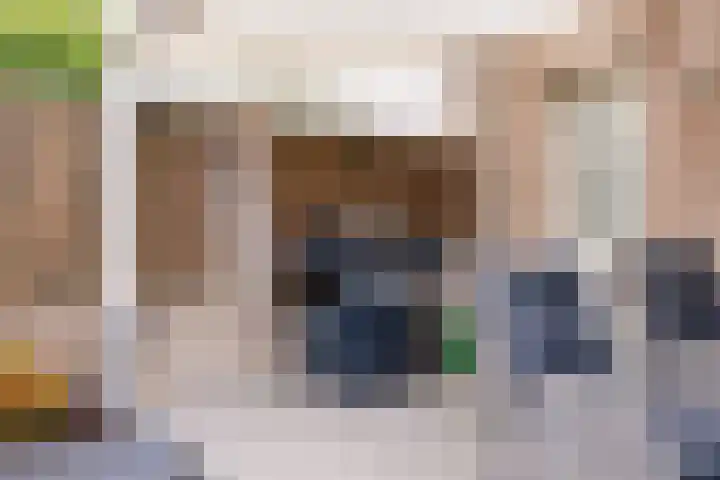 Ekster 25 Veldhoven thumbnail 32