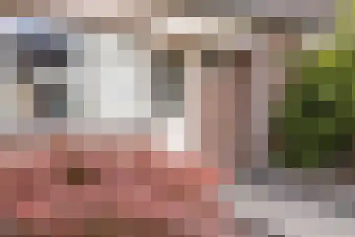 Ekster 25 Veldhoven thumbnail 37