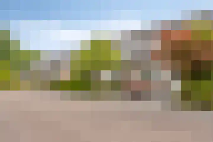 Ekster 25 Veldhoven thumbnail 38