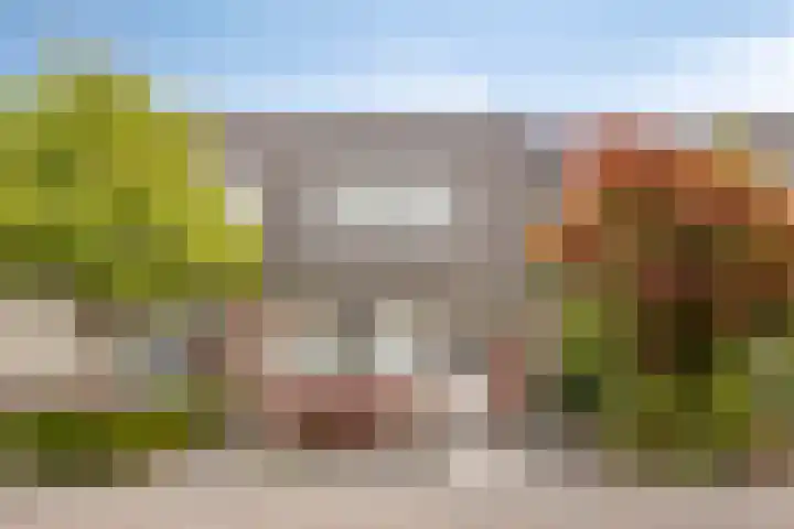 Ekster 25 Veldhoven thumbnail 44