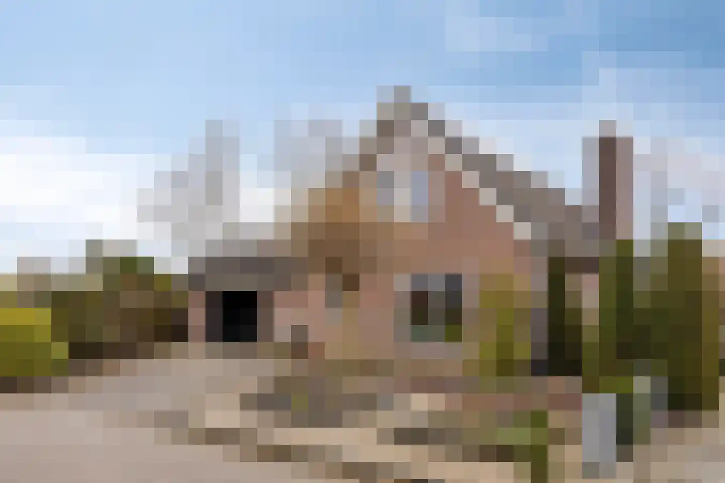 Eksterhof 33 in Varsseveld