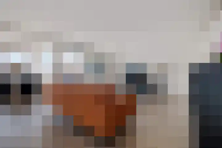 Eksterlaan 145 Haarlem thumbnail 18