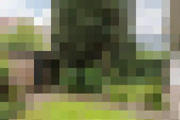 Eksterlaan 145 Haarlem thumbnail 22